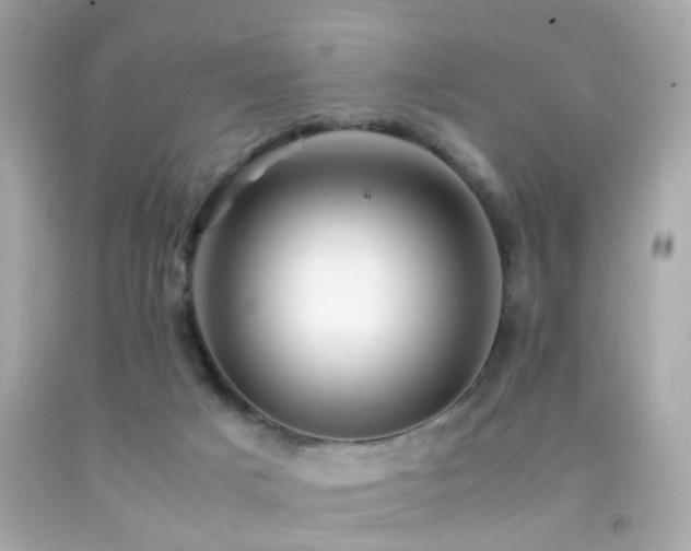 X0000092070025200709121425