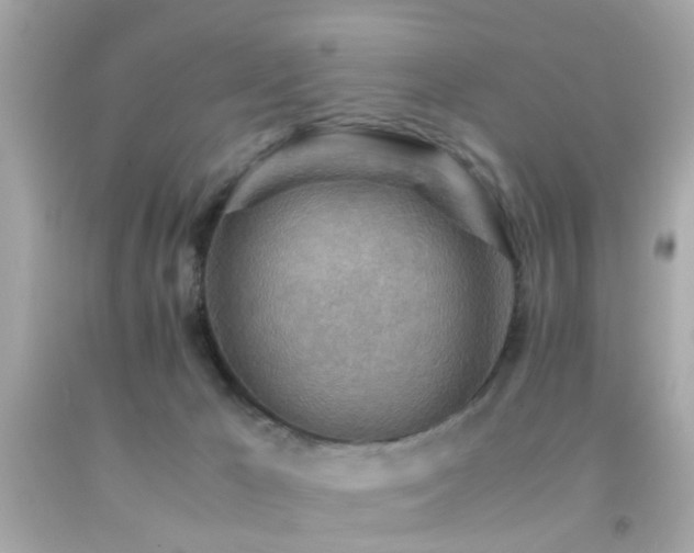 X0000092070029200709121425