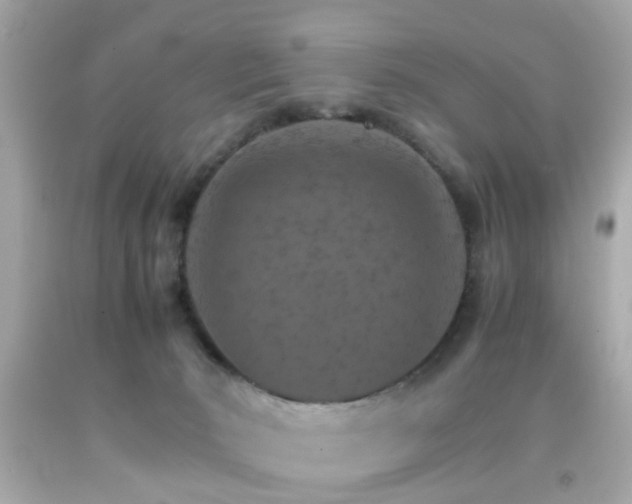 X0000092070030200709121425