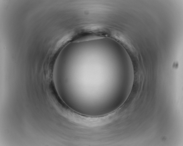 X0000092070031200709121425