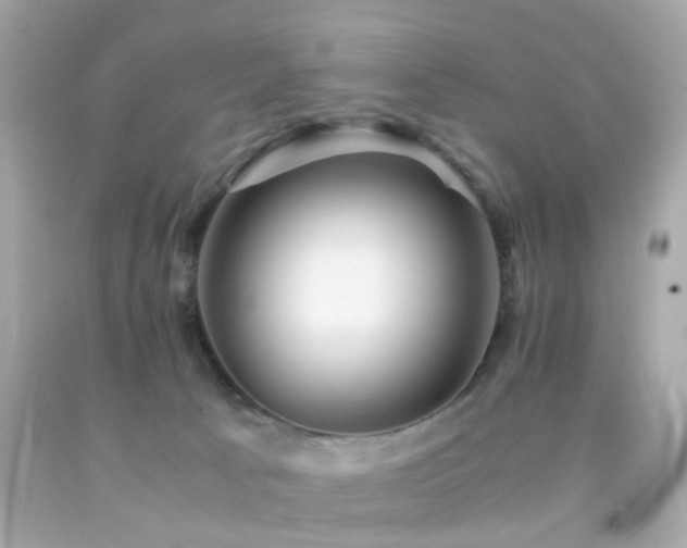 X0000092070033200709121425