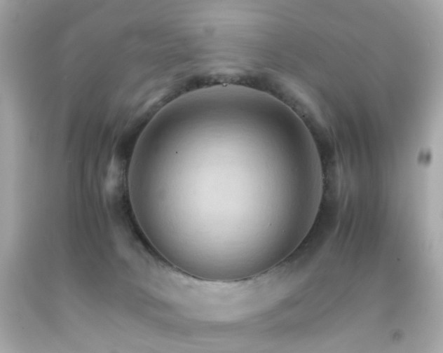 X0000092070034200709121425