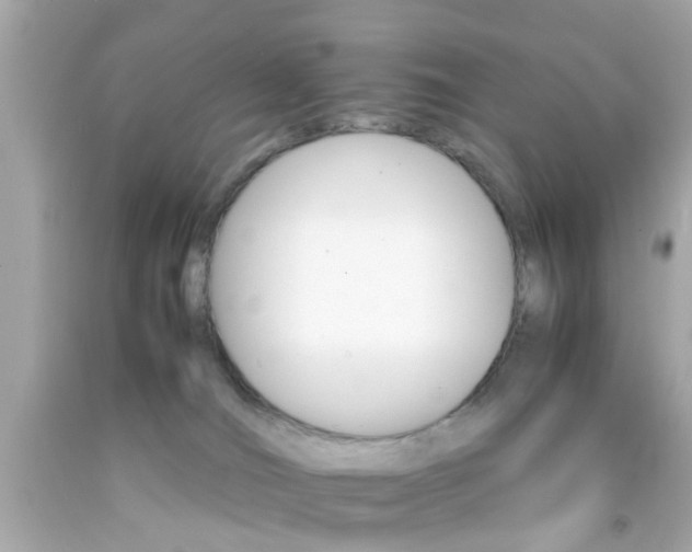 X0000092070036200709121425
