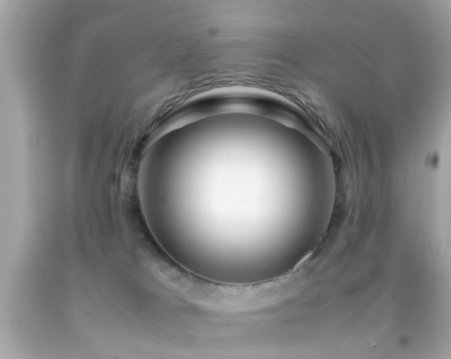 X0000092070037200709121425