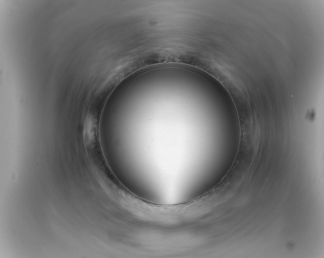 X0000092070038200709121425
