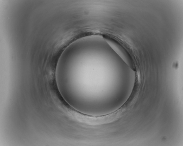 X0000092070039200709121425