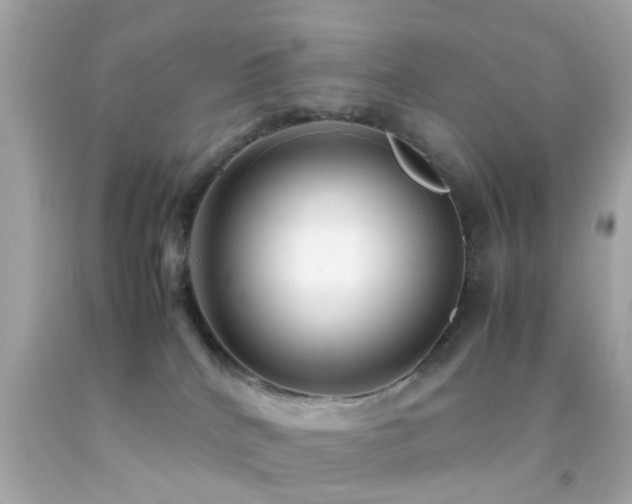 X0000092070040200709121425