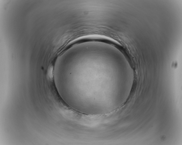 X0000092070041200709121425