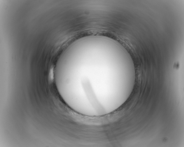 X0000092070042200709121425