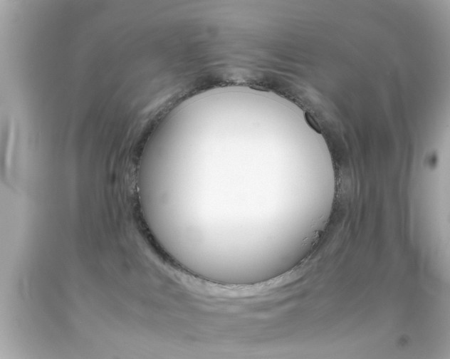 X0000092070043200709121425