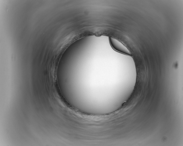 X0000092070044200709121425