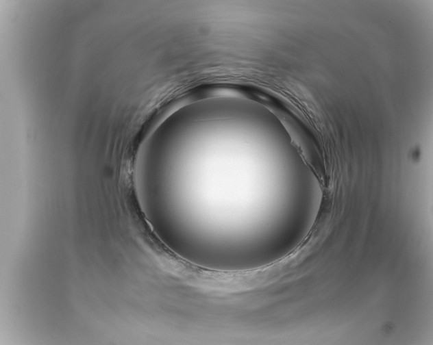 X0000092070045200709121425