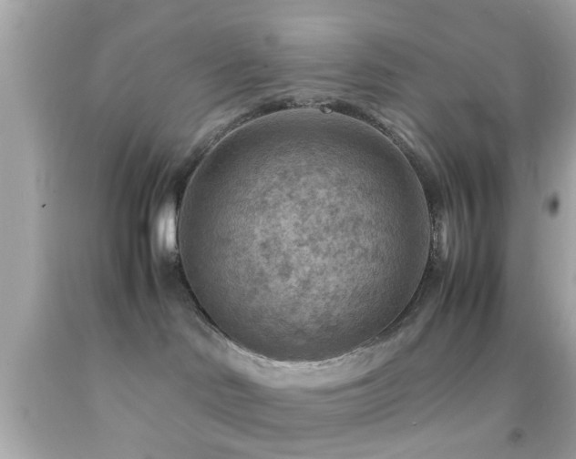 X0000092070046200709121425
