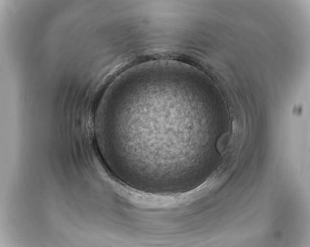 X0000092070048200709121425