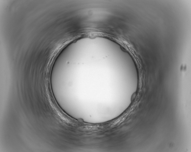 X0000092070049200709121424