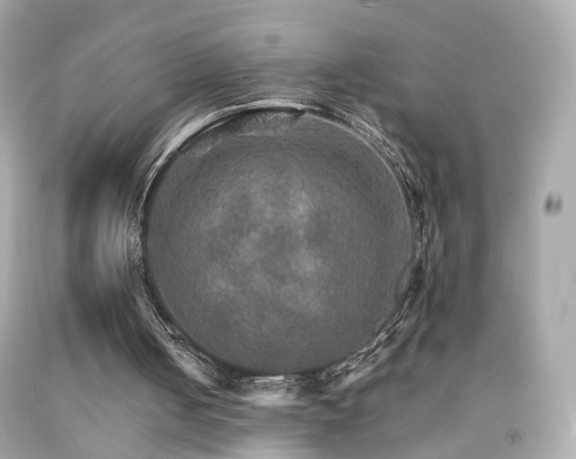 X0000092070050200709121424