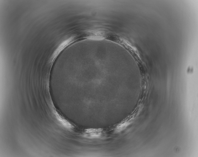 X0000092070051200709121424