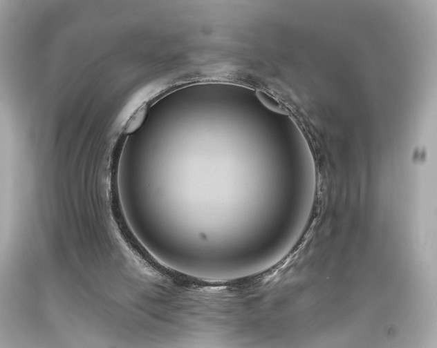 X0000092070054200709121424