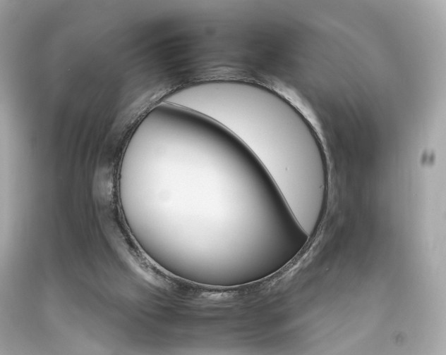 X0000092070057200709121424
