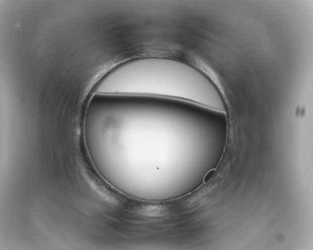 X0000092070059200709121424