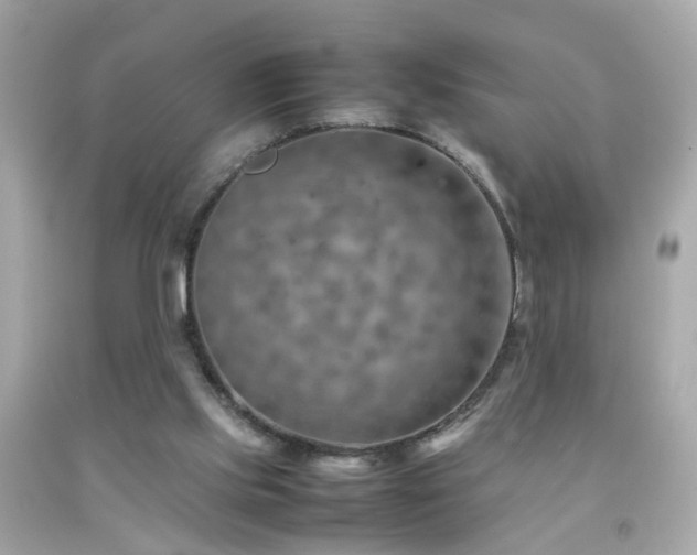 X0000092070061200709121424