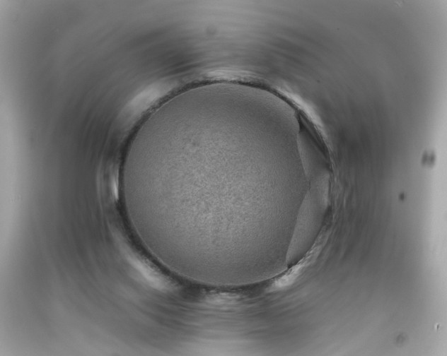 X0000092070062200709121424