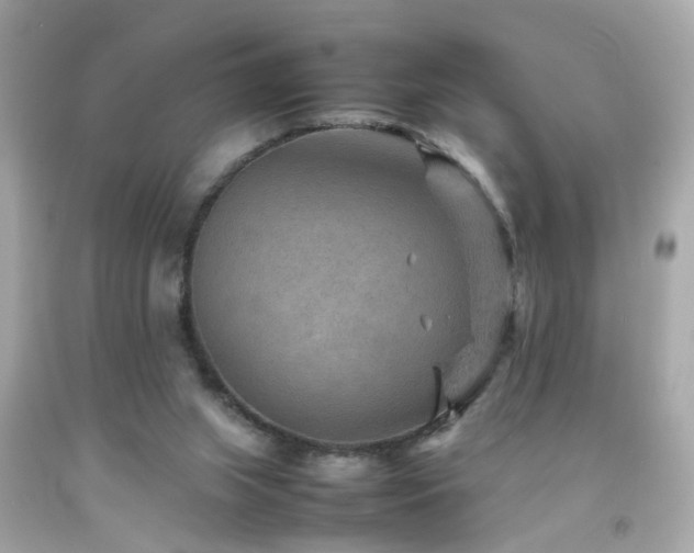 X0000092070063200709121424