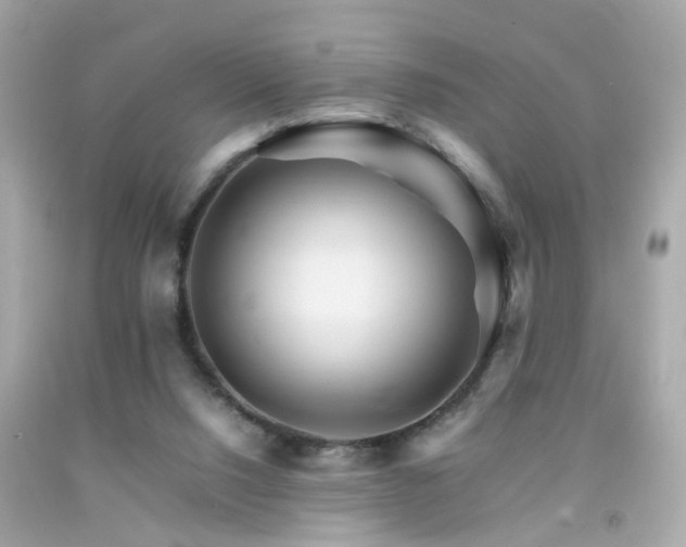 X0000092070064200709121424