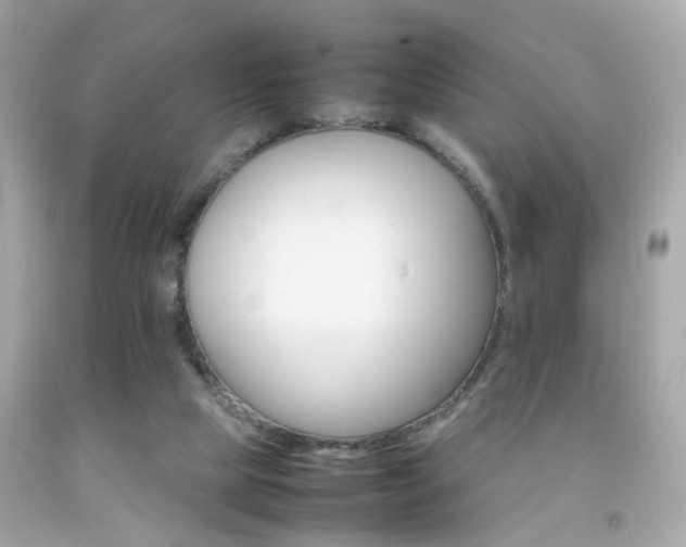 X0000092070065200709121424