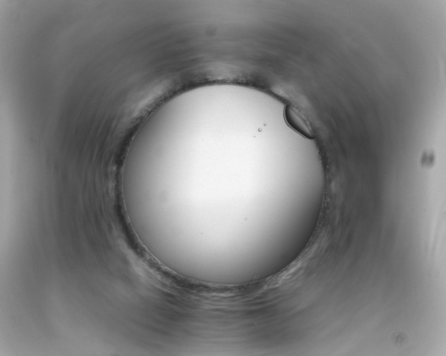 X0000092070066200709121424