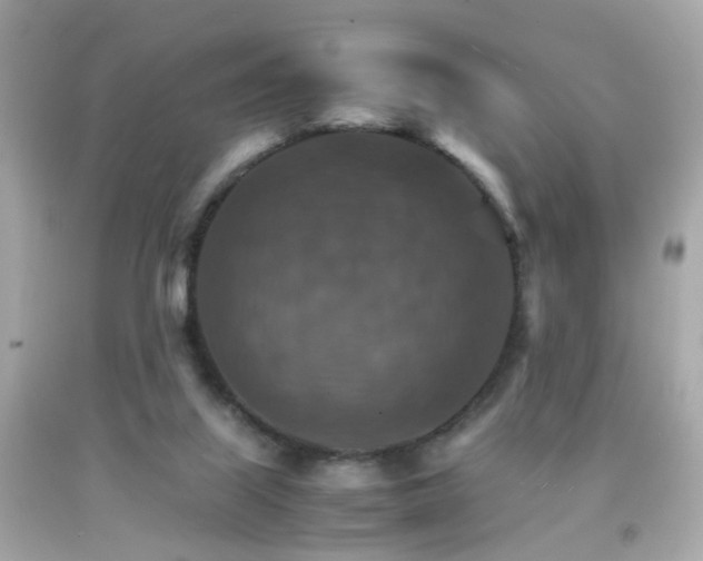 X0000092070067200709121424