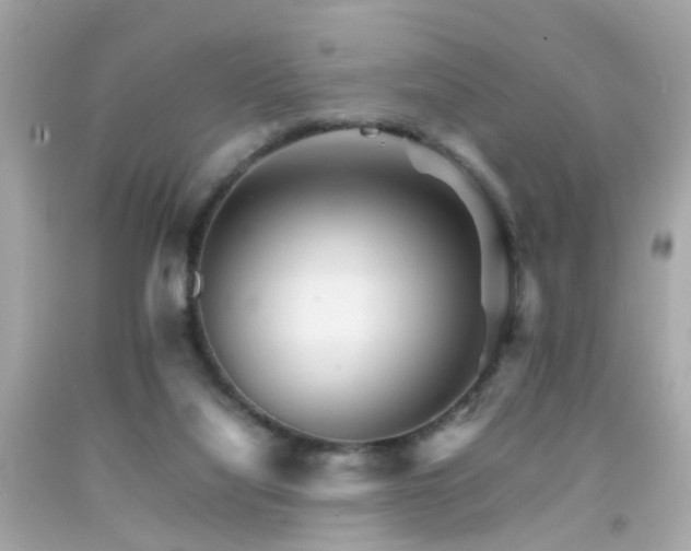 X0000092070068200709121424