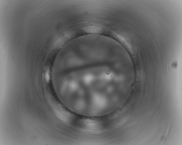 X0000092070069200709121424