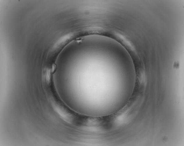 X0000092070070200709121425