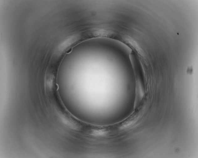 X0000092070071200709121425