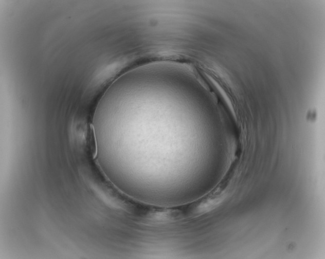 X0000092070072200709121425