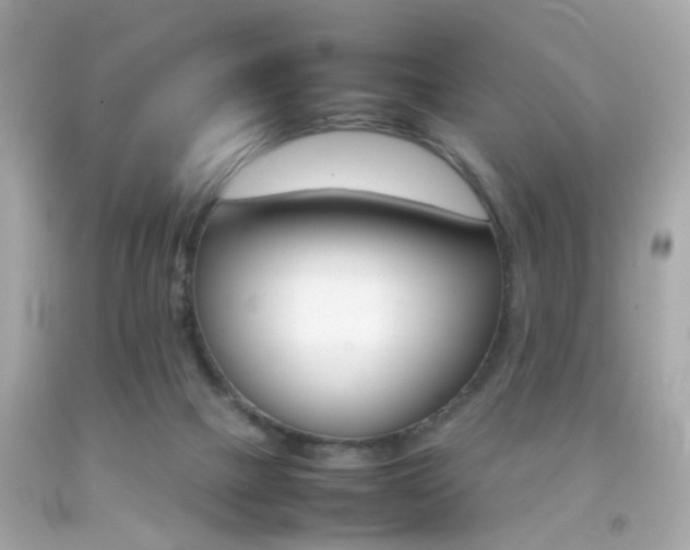 X0000092070073200709121425