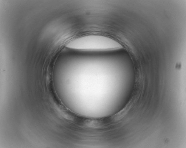 X0000092070074200709121425