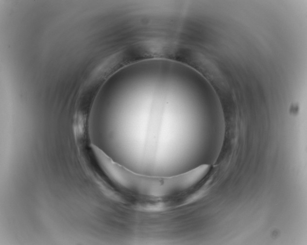 X0000092070075200709121425