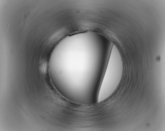 X0000092070076200709121425