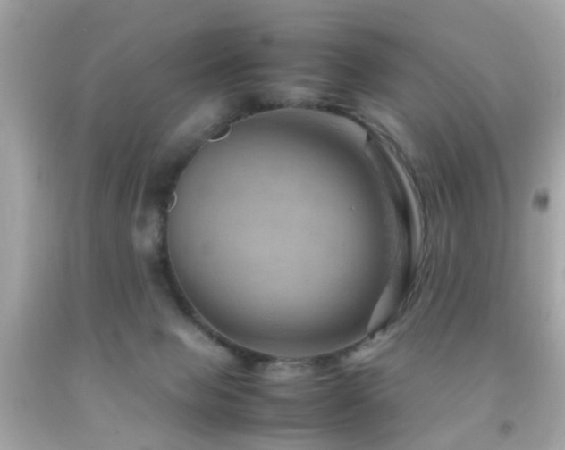 X0000092070077200709121425