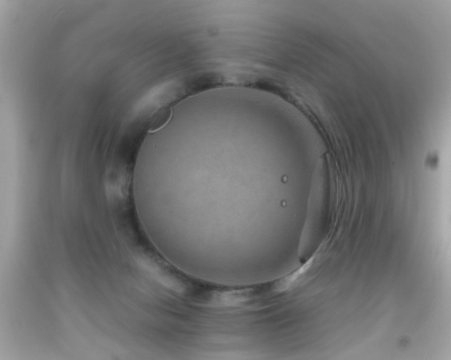 X0000092070078200709121425