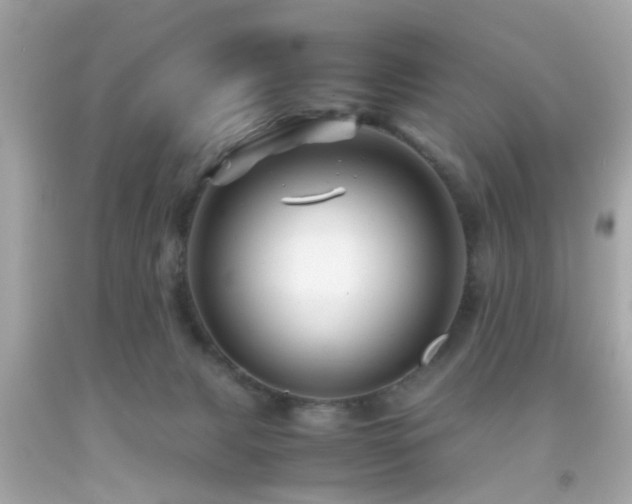 X0000092070079200709121425