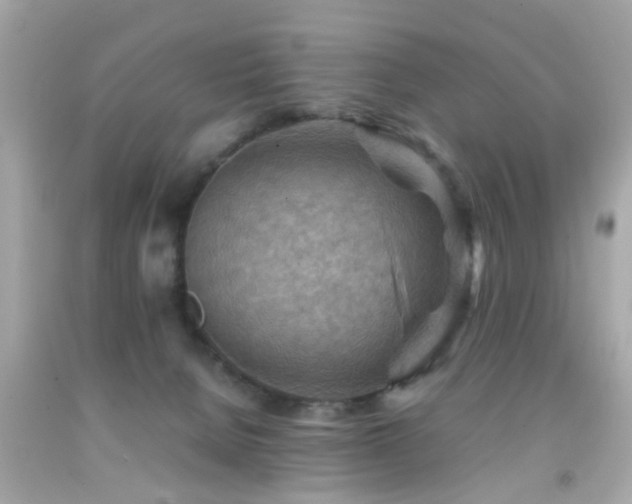 X0000092070080200709121425