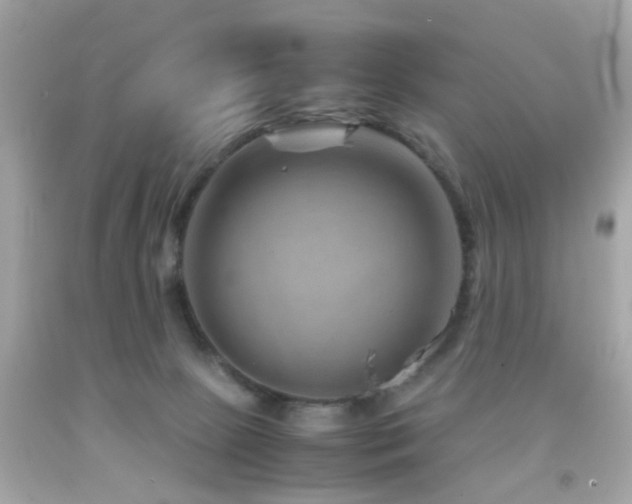 X0000092070081200709121425
