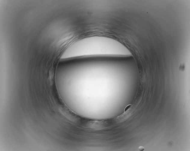 X0000092070082200709121425