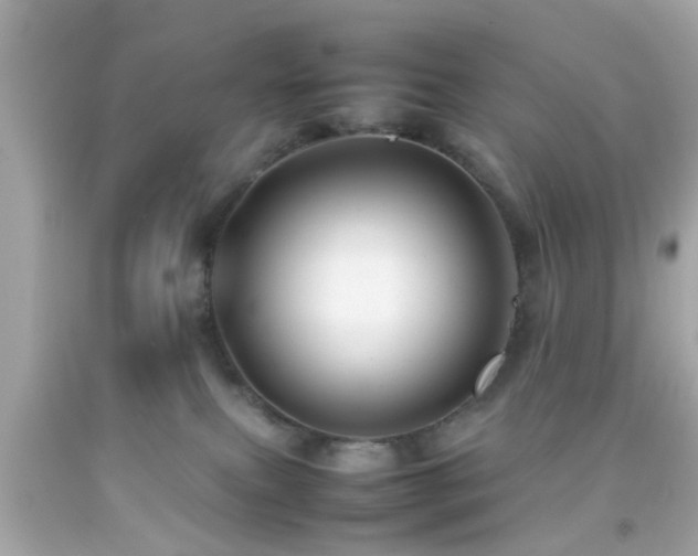 X0000092070087200709121425