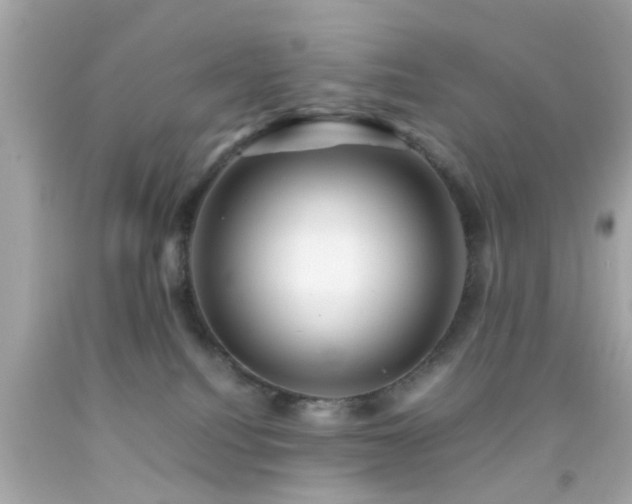 X0000092070088200709121425