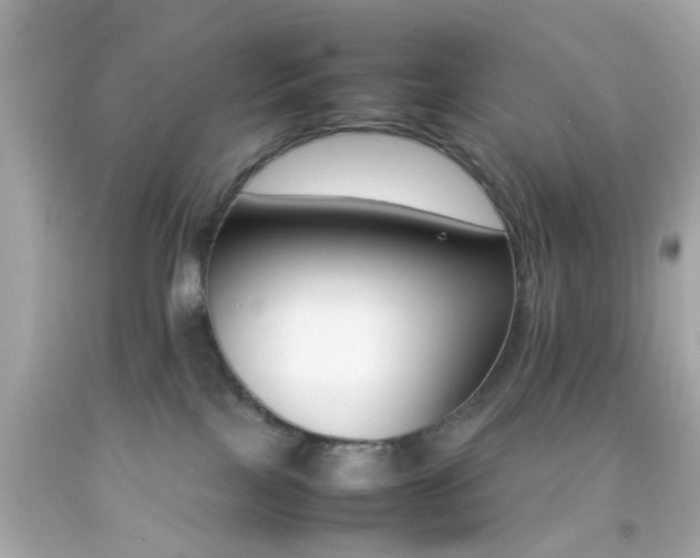 X0000092070089200709121425