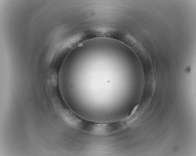 X0000092070090200709121425